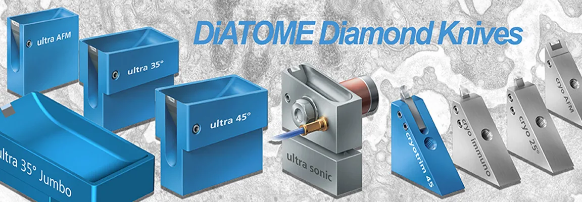 DiaTOME